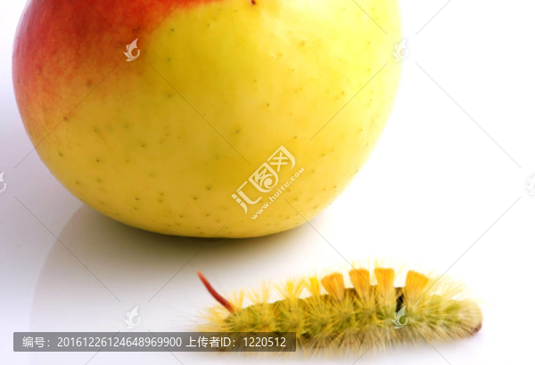 卡特彼勒和蘋果