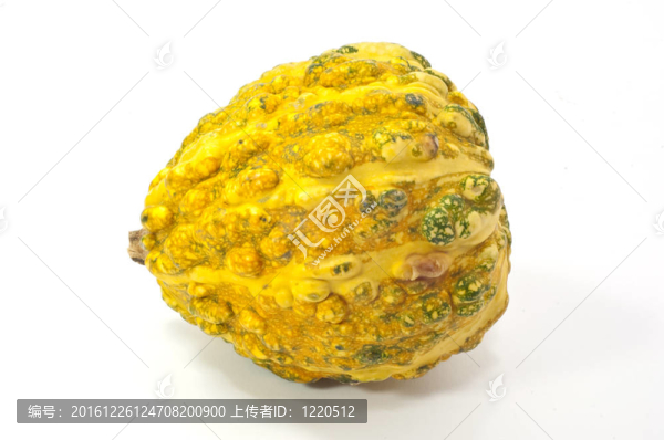 東黃南瓜
