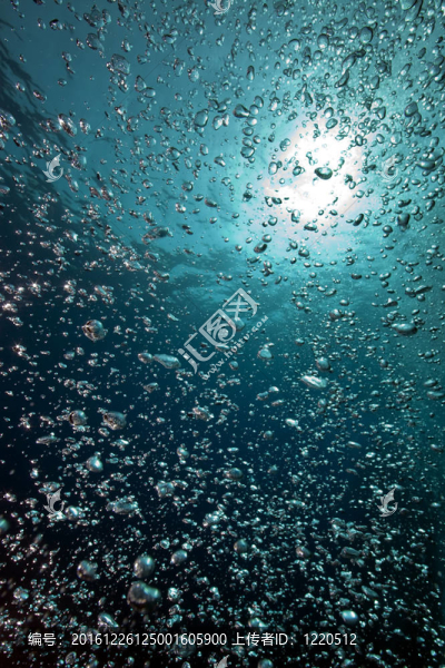 氣泡；海洋和太陽