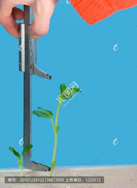 成功的增長