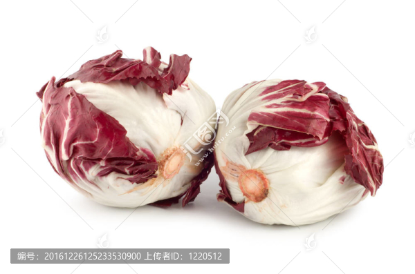 紅甘藍(lán)
