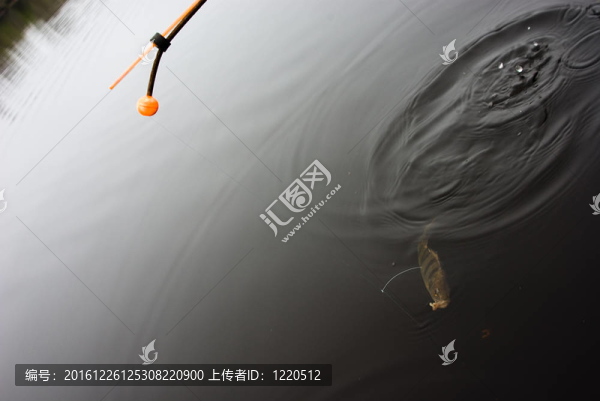 加權(quán)線（底釣）