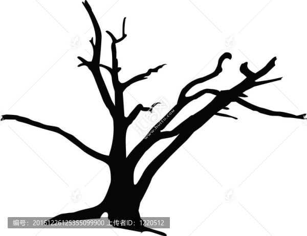 tree3剪影