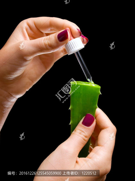 Aloe,Vera的樣本