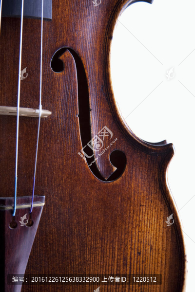 Violin,viola,Fiddle孤立White