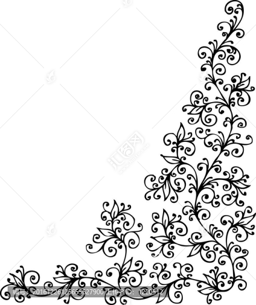 花的小插曲