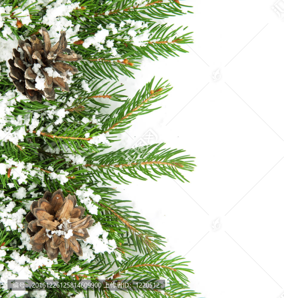 帶雪和圓錐體的圣誕框架