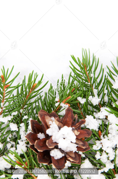 帶雪和圓錐體的圣誕框架