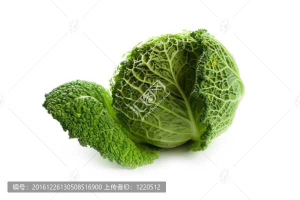 新鮮的卷心菜