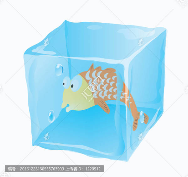 魚是冰凍的
