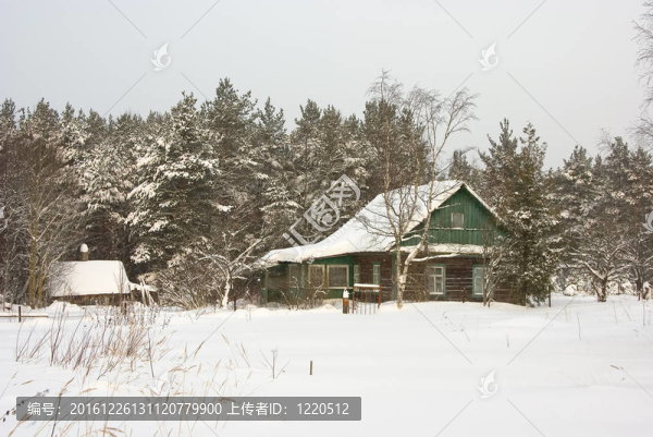 雪后的冬村；霜與太陽。