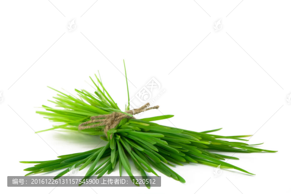 一束草