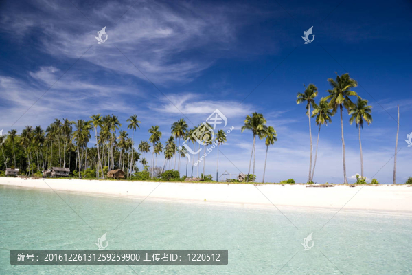 熱帶島嶼天堂
