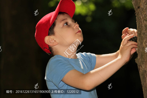 小男孩看著樹