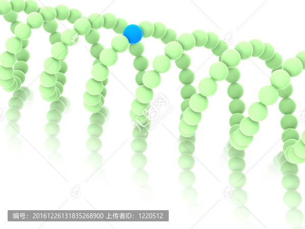 基因在DNA