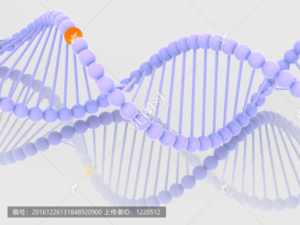 基因在DNA