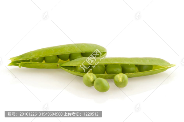 蠶豆