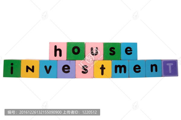 投資積木玩具