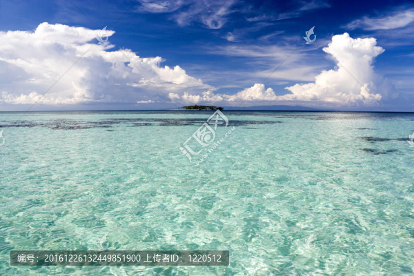 淺的大海