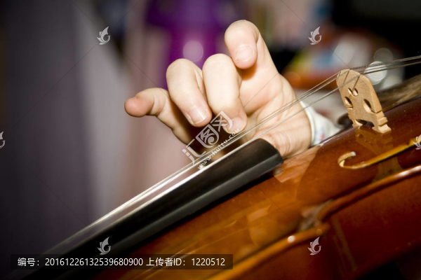 小提琴手