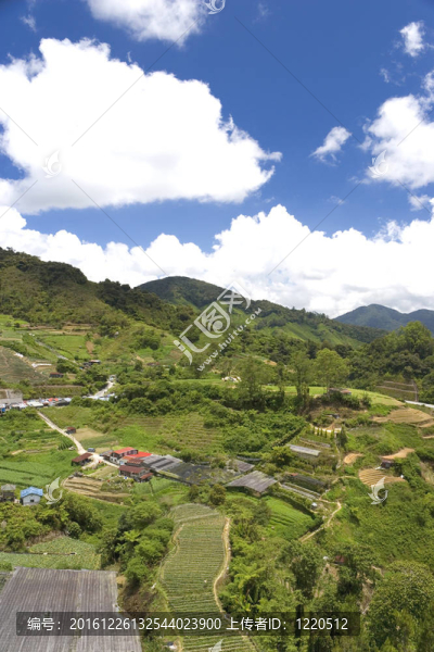 馬來西亞的田園風(fēng)光