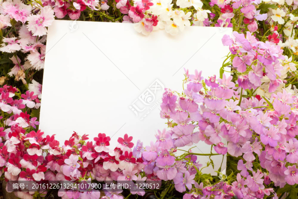 鮮花和分隔開的