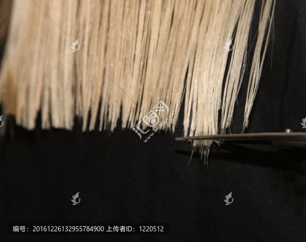 畫龍點睛
