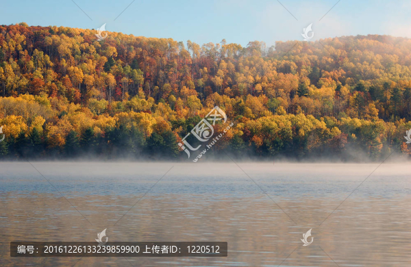 秋天的景色