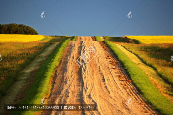 美麗的顏色在薩斯喀徹溫省的鄉(xiāng)村道路