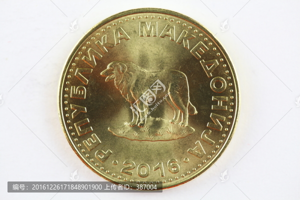 馬其頓貨幣,代納爾