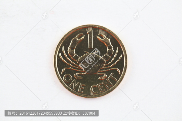 塞舌爾盧比