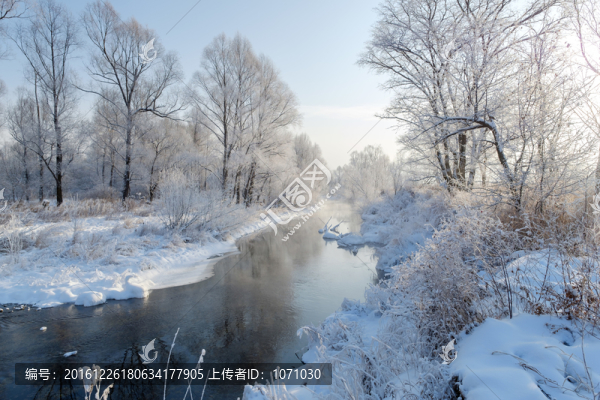 冰河霧凇