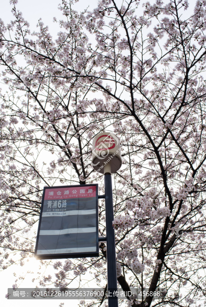 公交車,站牌