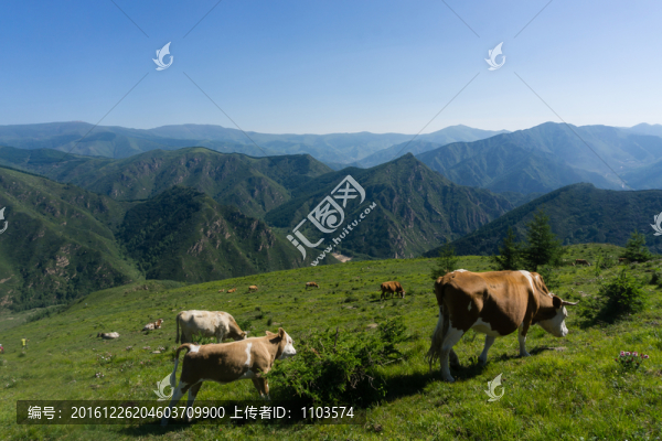 徒步五臺(tái)山