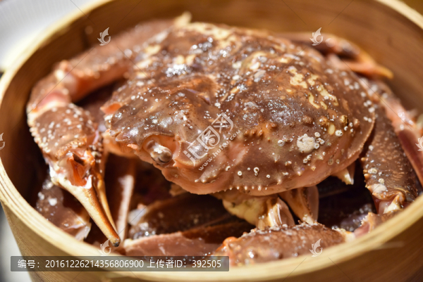松葉蟹