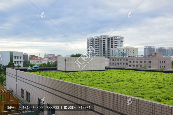 樓頂綠化
