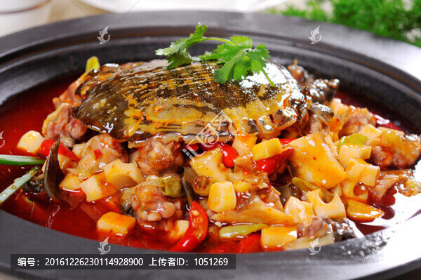 生爆野生甲魚(yú)