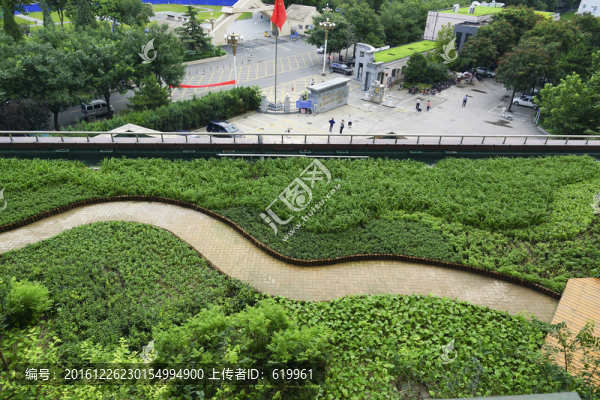 樓頂綠化