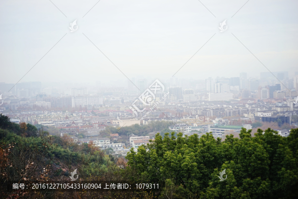 城市