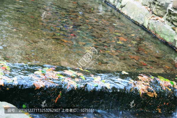 溪水,楓葉,秋天
