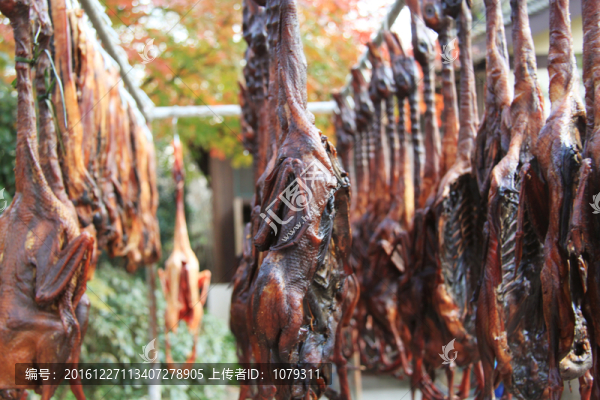 燒鴨,鹵味