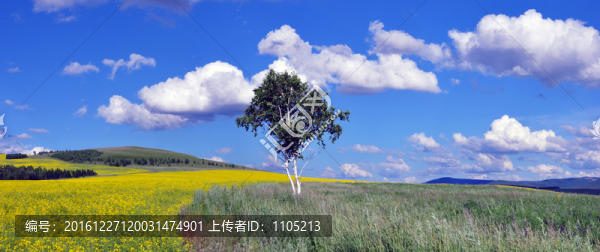 藍(lán)天白云