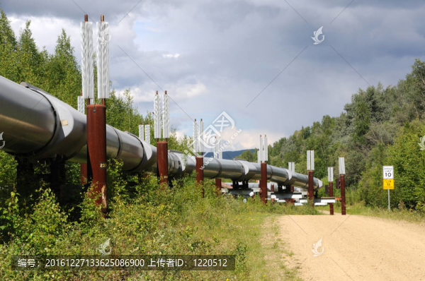 具有永久穩(wěn)定換熱器的跨阿拉斯加輸油管道