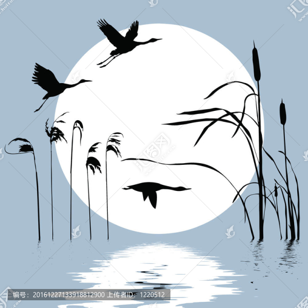 鳥類背景下的鳥畫圖