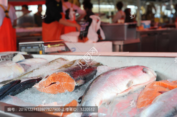 魚市場