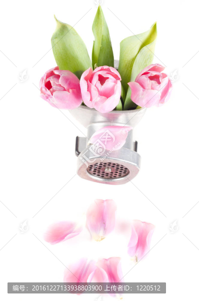 花概念照片