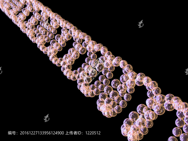 基因在DNA