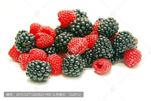 黑莓和樹莓