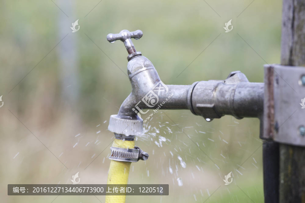 水