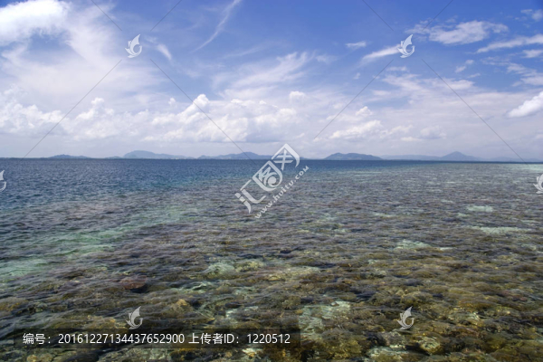 珊瑚海